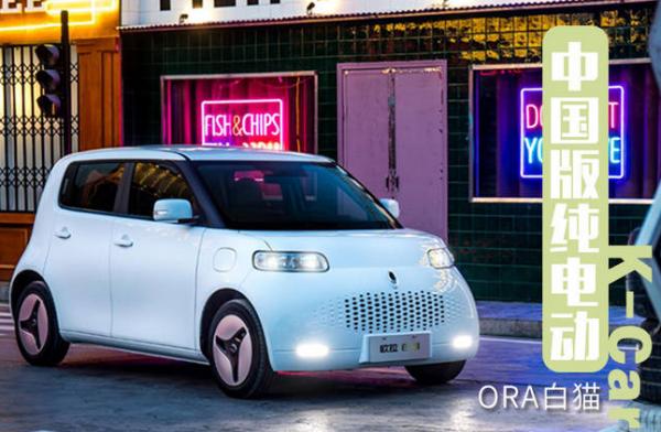 欧拉白猫电动车怠速抖动