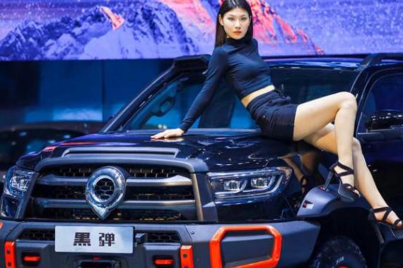 长城皮卡长城炮长城皮卡底盘异响