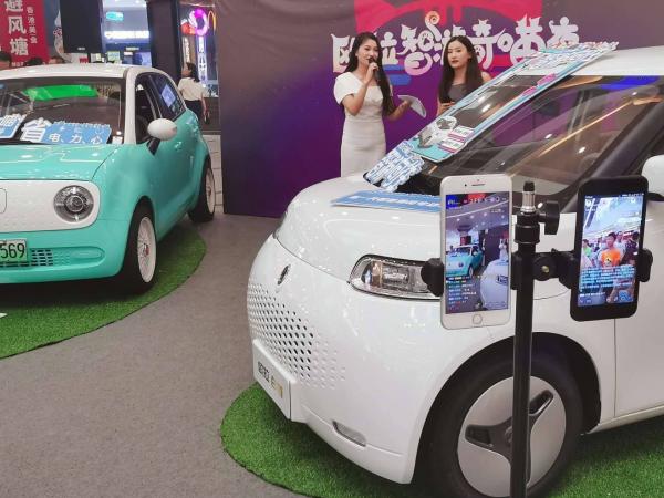 欧拉白猫 轻微碰撞修复 车身损伤判断 电动车维修 保险理赔流程