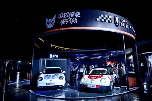 欧拉好猫轮胎维护费用