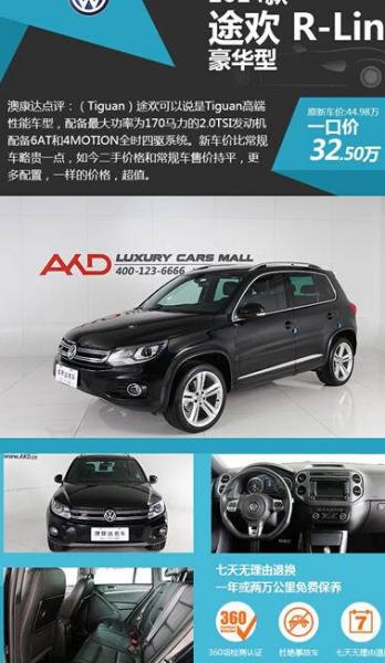 进口大众途欢Tiguan