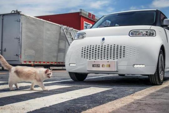 欧拉白猫电瓶充电问题