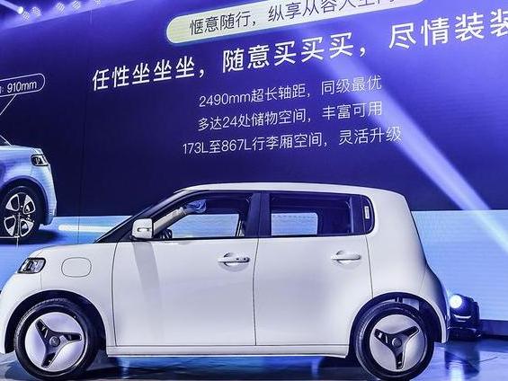 欧拉白猫车漆保养