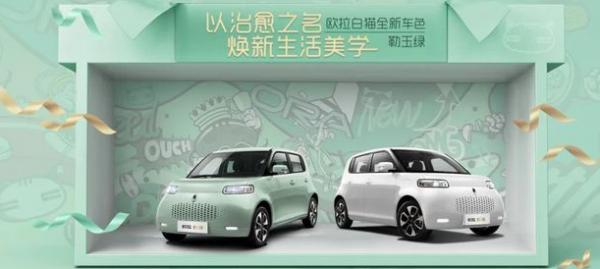 欧拉白猫电瓶保养