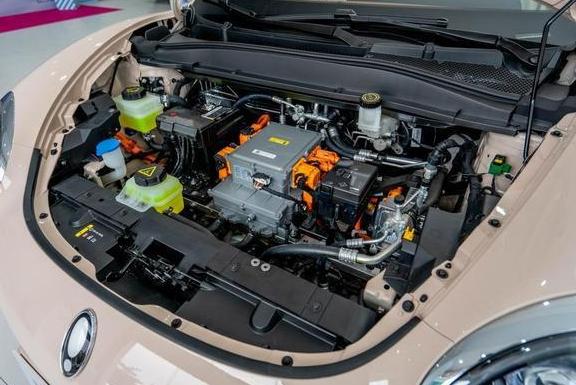 欧拉好猫轮胎扎钉自救