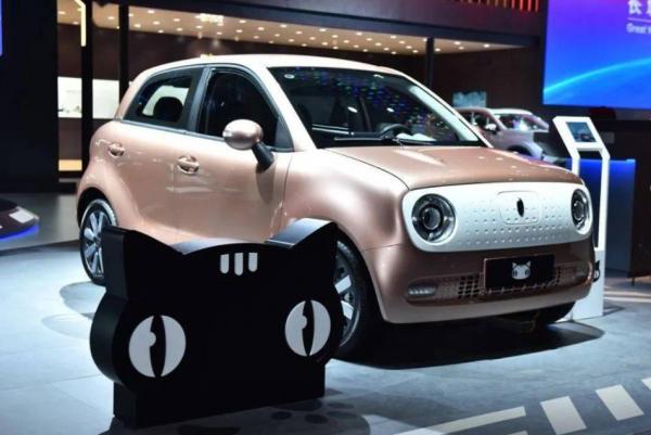 欧拉黑猫新能源汽车保养