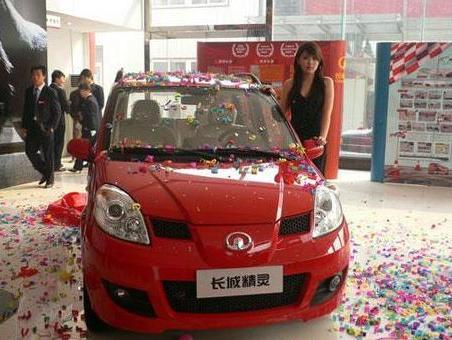 长城汽车精灵汽车备胎维护