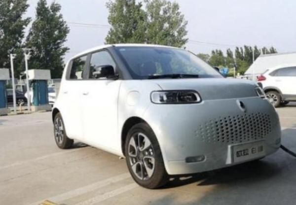 欧拉白猫轻微碰撞处理指南 快速判断与专业修复技巧