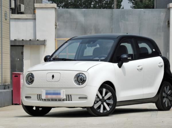 欧拉黑猫故障代码