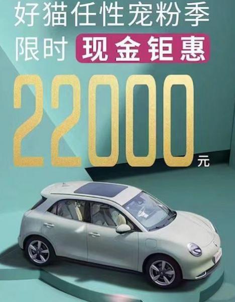 欧拉好猫轮胎扎钉自救