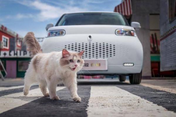 欧拉白猫节气门清洁全攻略 提升燃油经济性+动力恢复的终极指南