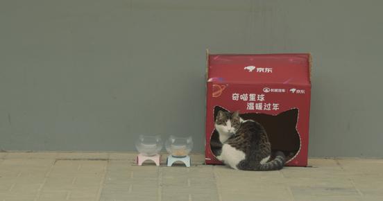 欧拉白猫新能源汽车滤芯维护